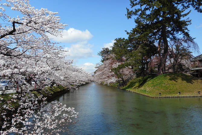 Private Cherry Blossom Tour in Hirosaki With a Local Guide - Inclusions and Accessibility