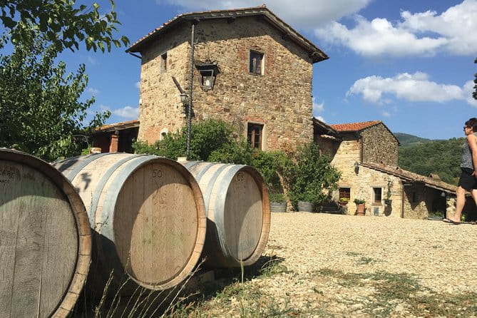 Private Chianti and SuperTuscan Tour 2 wineries with Light Lunch from Livorno - Who Should Consider This Tour?
