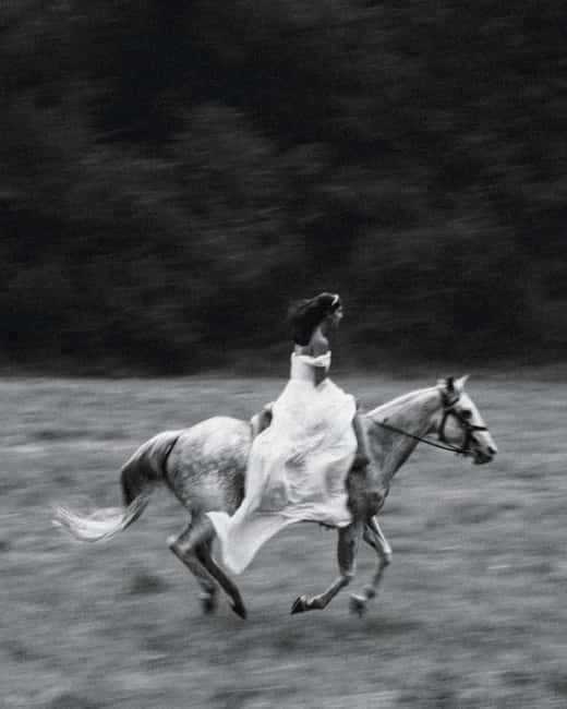 Private Chianti Horseback Riding Wine Tasting + Lunch - Exploring the Scenic Chianti Countryside by Horseback