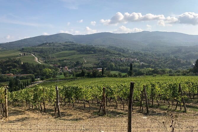 Private Chianti Wine Tasting from Florence, Half Day Experience - In-Depth Look at the Experience