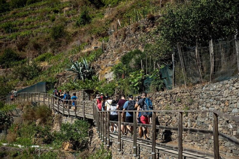 Private Cinque Terre Tour from Florence with Optional Hike - Key points / Takeaways