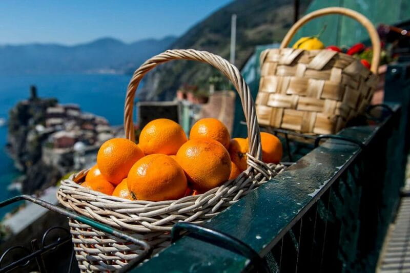 Private Cinque Terre Tour from Florence with Optional Hike - An Unforgettable Boat Ride (Weather Permitting)