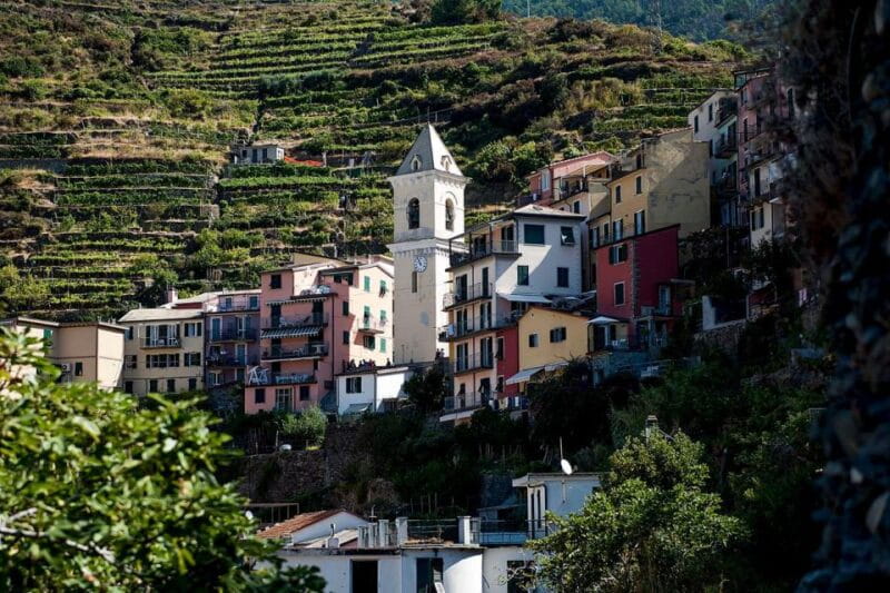 Private Cinque Terre Tour from Florence with Optional Hike - Price and Value Considerations