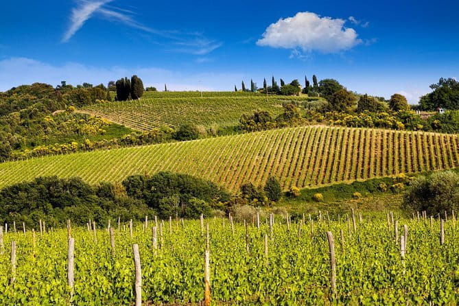 Private Classic Wine Tour in Chianti from Florence - Key points / Takeaways