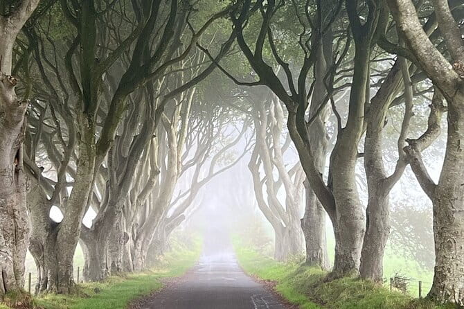 Private Coast Tour in Belfast - FAQs