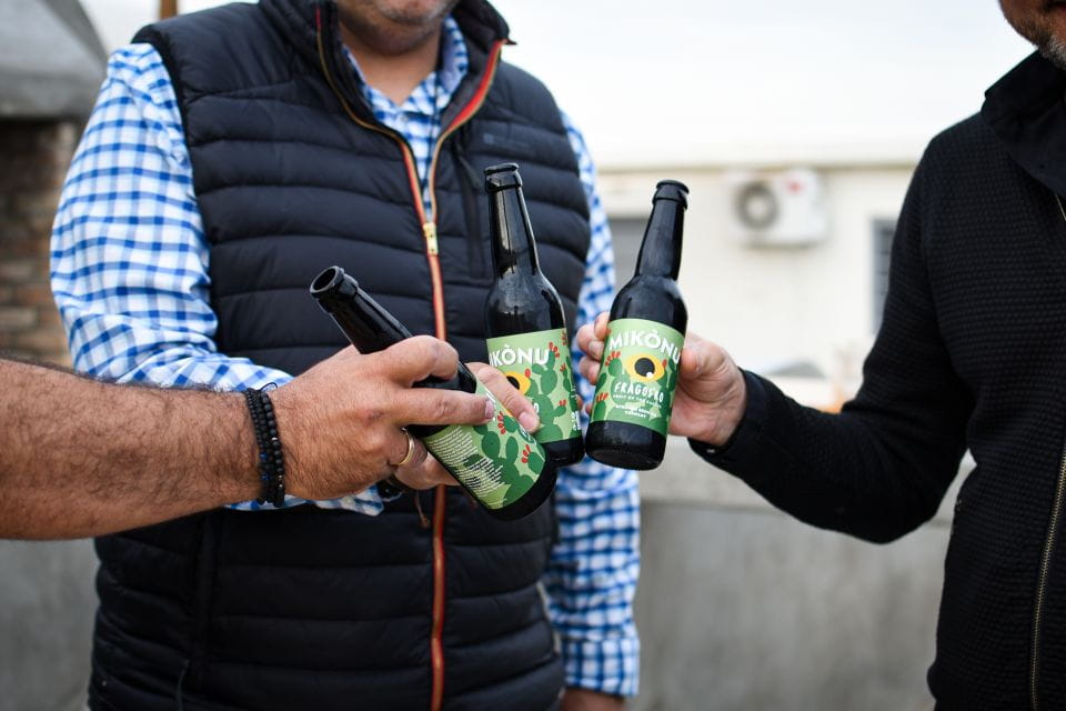 Private Cooking Class At The Home Of A Mykonian Family - Local Flavors and Pairings