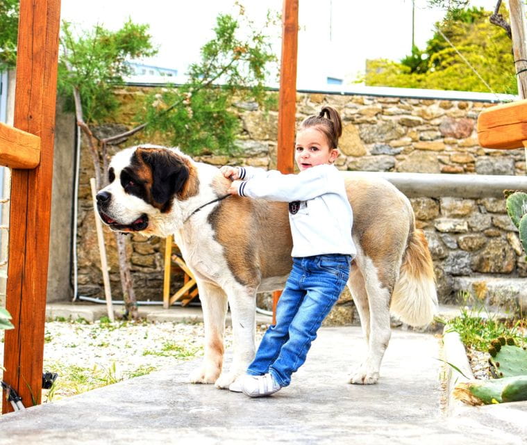 Private Cooking Class At The Home Of A Mykonian Family - Frequently Asked Questions