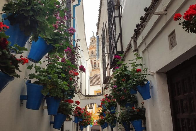 Private Córdoba Highlights Walking Tour - FAQ