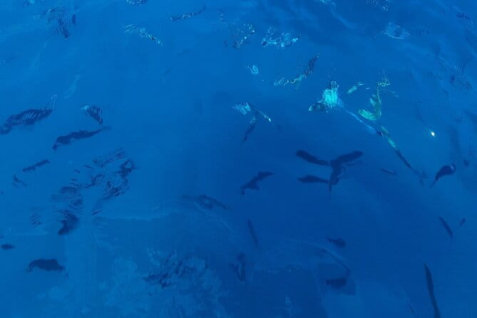 Private cruise to Cap d'Antibes and the Lérins Islands by sailboat - Experiencing the Coastline and Hidden Gems of Cap dAntibes