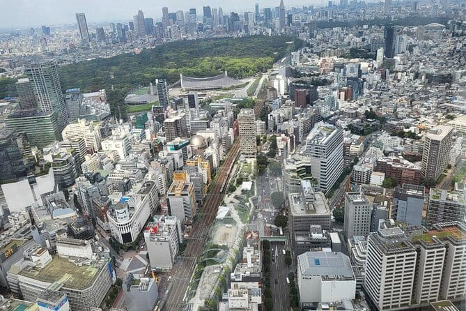 Private Custom Tokyo Tour With a Tokyo Resident Pro Guide by Car - Accessibility