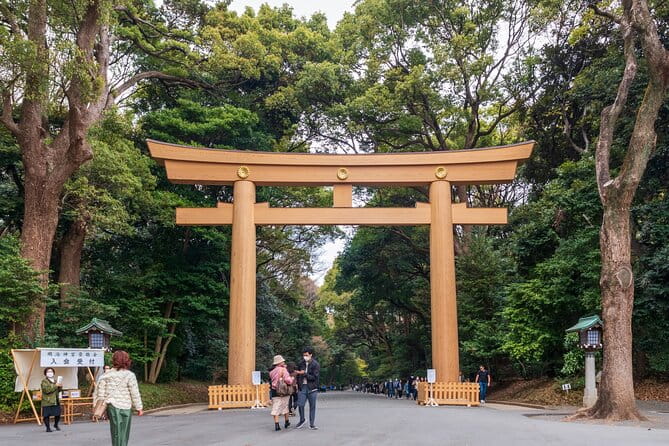 Private Custom Tour in Tokyo - Why Choose a Private Tour?