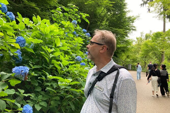 Private Custom Tour: Kyoto in One Day - Transportation and Accessibility