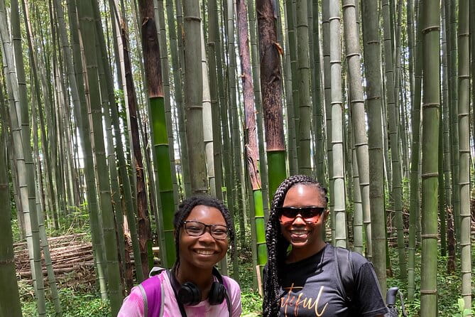 Private Custom Tour: Kyoto in One Day - Customer Testimonials