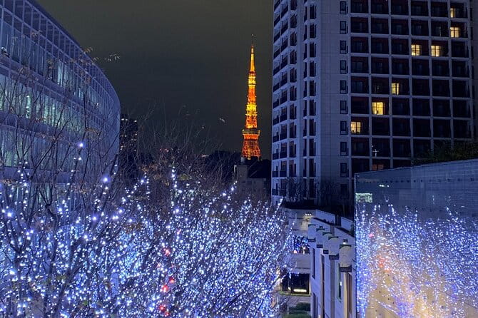 Private Custom Tour: Tokyo in a Day - Customer Experiences