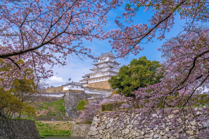 Private Customize Tour Himeji From Kyoto - Inclusions