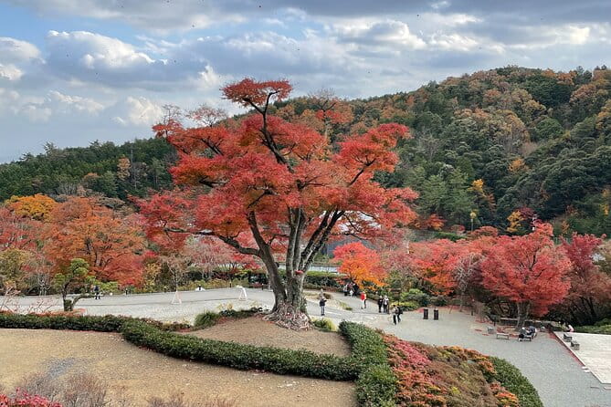 Private & Customized - Kansai Cycle Tour - Meeting and End Points