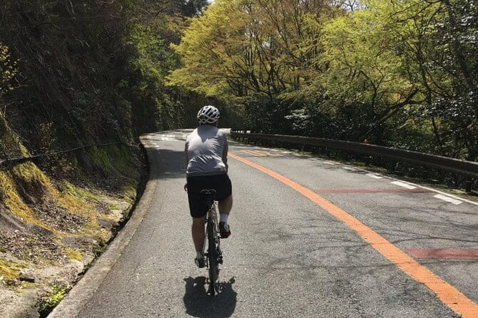 Private & Customized - Kansai Cycle Tour - Customization Options