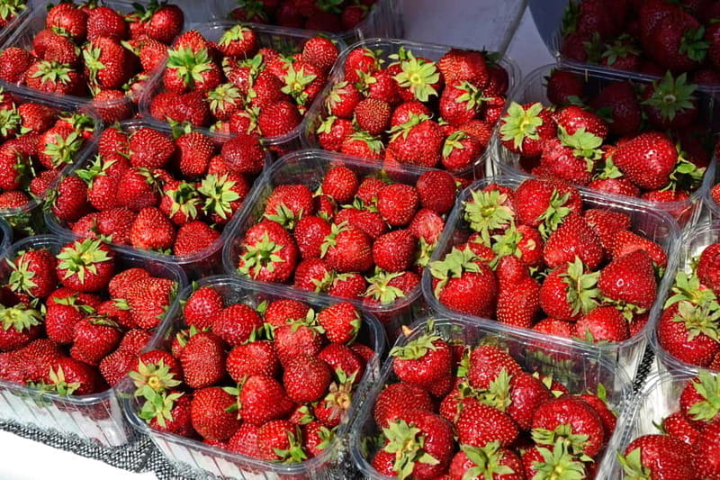 Private Cycle Tour in Helsinki, 4h - Why a Private Bike Tour is a Great Choice for Helsinki