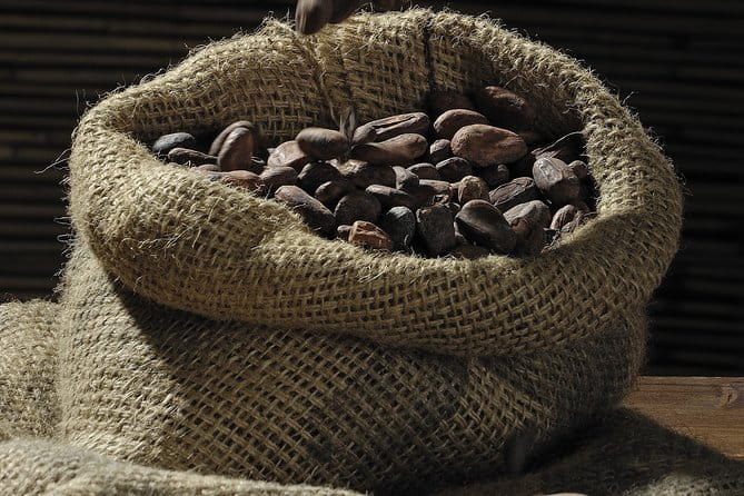 Private Dark Chocolate Tasting Tour in Paris - Key Points / Takeaways