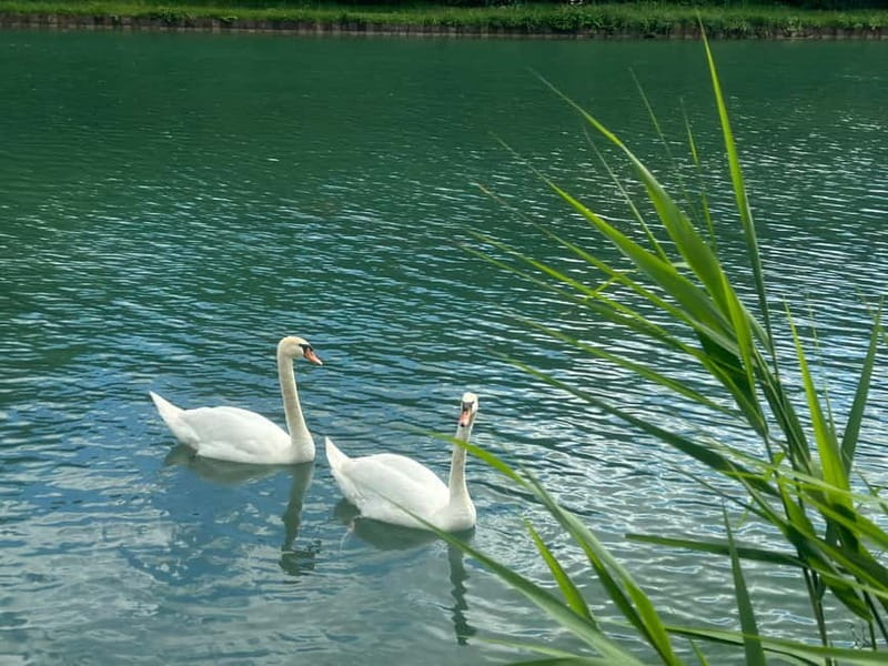 Private day - Cruise through the Champagne vineyards - The Sum Up: Is This Cruise Right for You?