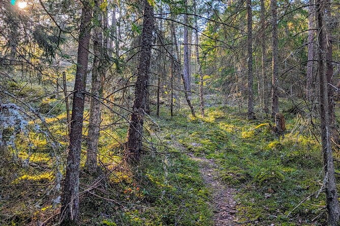 Private Day Road Trip from Helsinki: Raseborg, Fagervik, Porkkala - Discovering the Historical Highlights: Raseborg Castle and Fagervik Ironworks