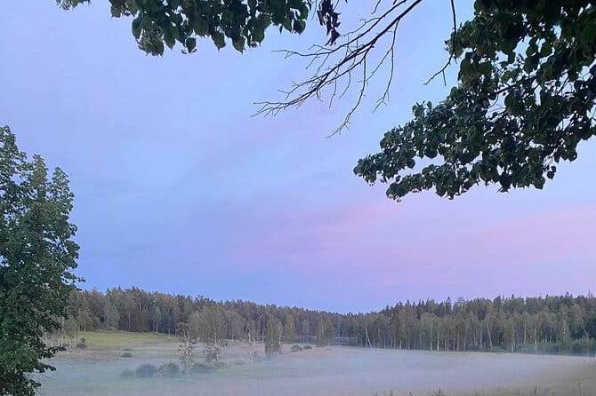 Private Day Road Trip from Helsinki: Raseborg, Fagervik, Porkkala - In Summary: Is This a Good Choice?