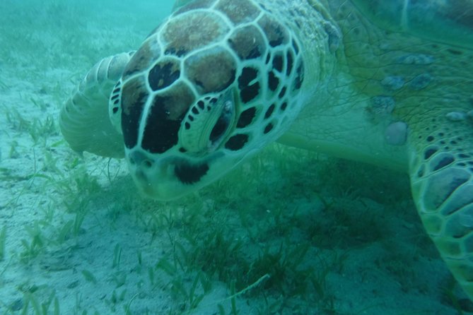 Private Day Sail & Snorkel With Virgin Islands Day Sailing, 6 Guest Max - Key Points