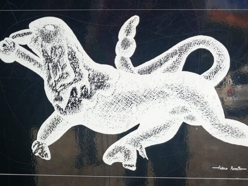 Private day tour Belmonte Museum Discoveries & Jewish Museum - The Sum Up