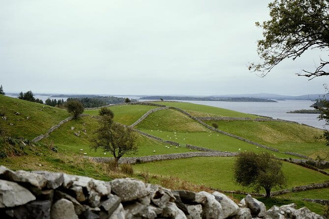 Private Day Tour Cliffs of Moher from Dublin - Discovering the Cliffs of Moher with a Private Guide: An In-Depth Look