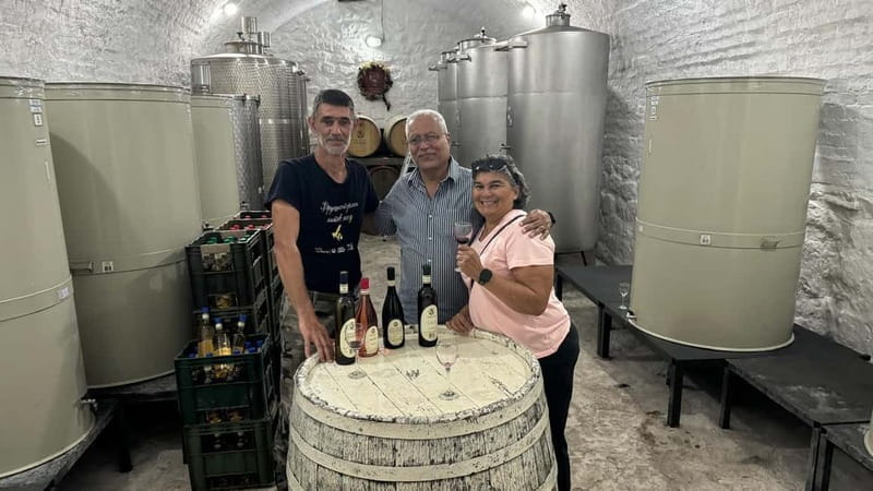 Private Day Tour Discovering Gems of Novi Sad in Luxury - FAQs