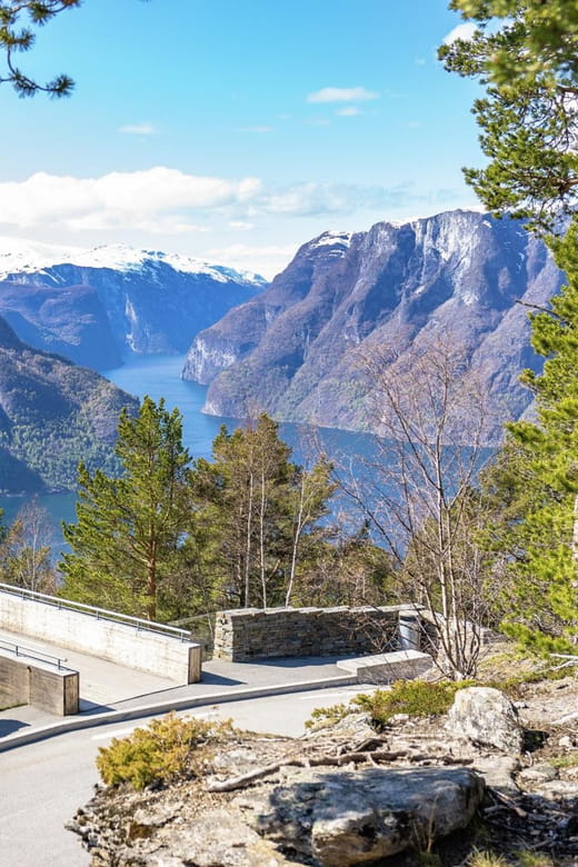 Private Day Tour- Flam Railway & Fjord Cruise From Bergen - FAQ