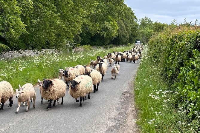 Private Day Tour From Bath to the Captivating Cotswolds - The Journey Ahead