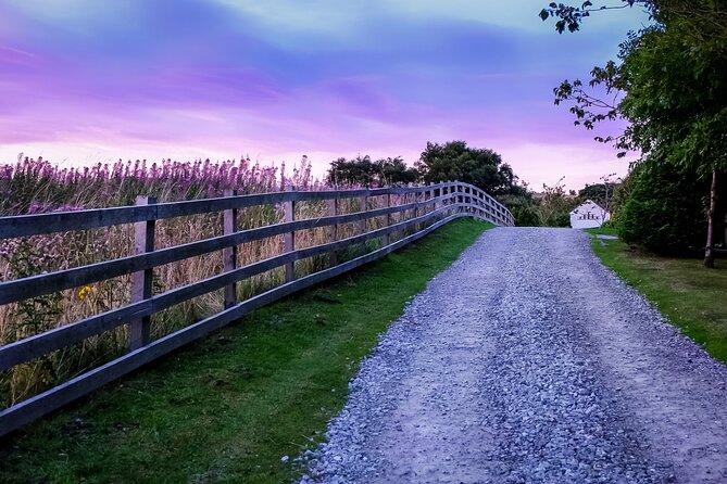 Private Day Tour From Florence to Pisa, Chianti and San Gimignano - Wine Tasting Lunch in Chianti