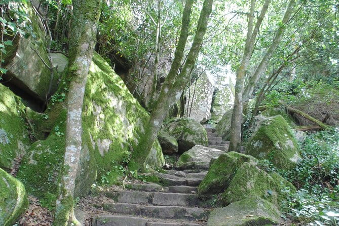 Private Day Tour from the Centre to the Highest Point in Sintra. - Who Will Love This Tour?