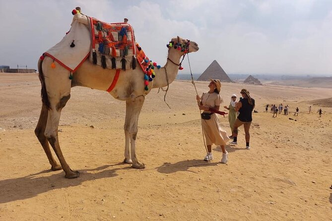 Private Day Tour Giza Pyramids, Sphinx, Memphis, and Saqqara - Reviews and Ratings