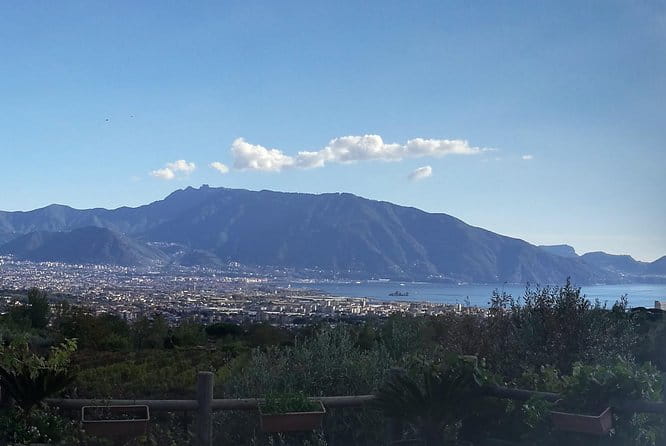 Private Day Tour: Herculaneum and Wine Tasting - Discovering Herculaneum—A Closer Look at the Ruins