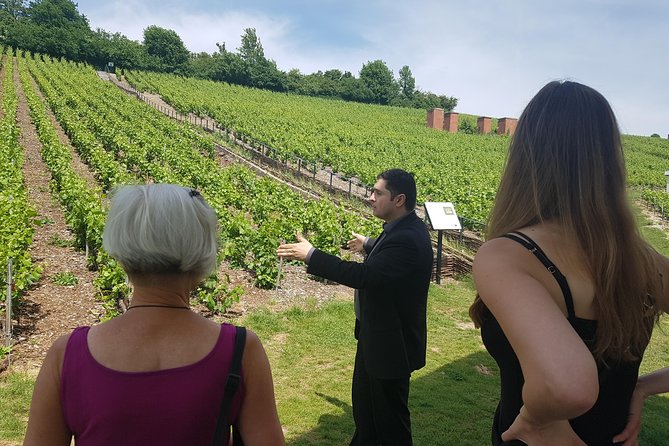 Private Day Tour in Champagne - Gourmet Lunch