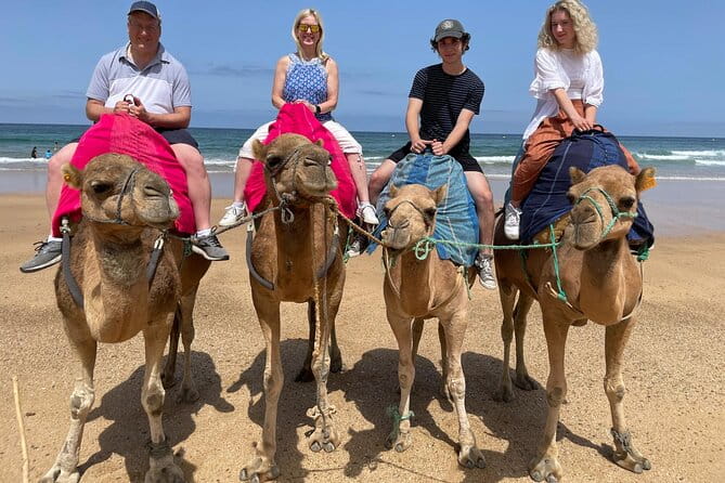 Private Day Tour in Gibraltar and Tangier, Morocco from Malaga - Key points / Takeaways