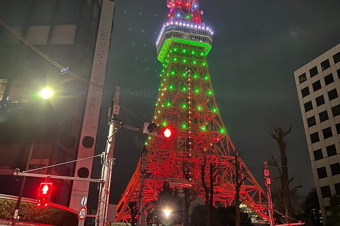 Private Day Tour in Tokyo With a Native English Speaker - What to Expect