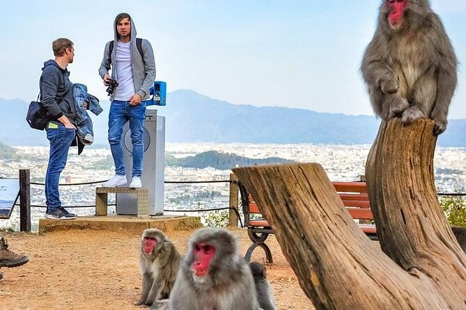 Private Day Tour - Kyoto Arashiyama & Bamboo Forest Perfect Tour! - Weather Policy and Accessibility