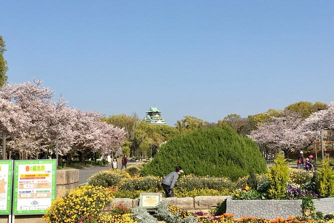 Private Day Tour of Historic Osaka - Traveler Feedback