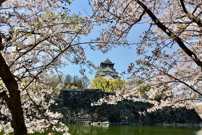 Private Day Tour of Historic Osaka - Exploring Osakas Rich History