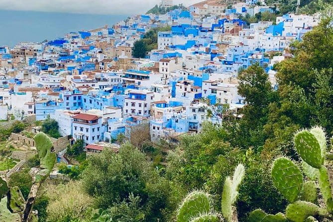 Private Day tour to Chefchaouen from Tangier - Final Thoughts