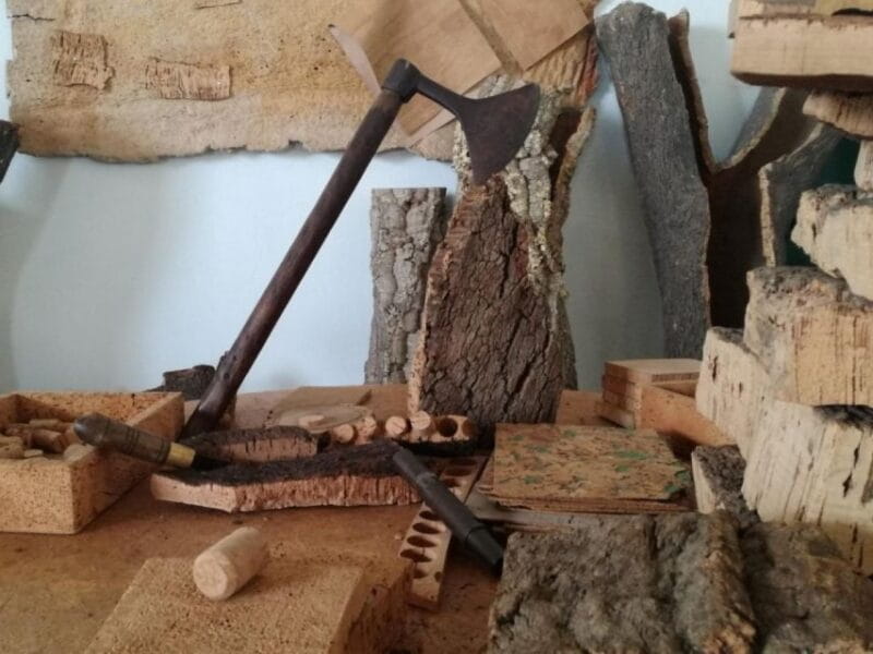 Private day tour to Évora: cork, factory, winery & the city - Who Will Love This Tour?