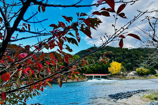 Private Day Tour to Kyoto and Uji for Classic Shrine and Matcha - Key Points