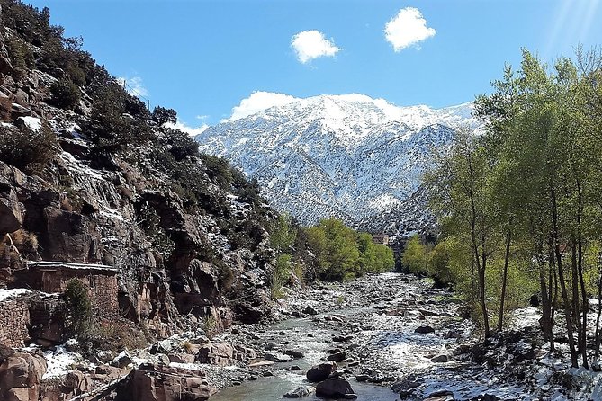 Private Day Tour to Ourika Valley Including Guided Hike and Lunch From Marrakech - Lunch at Berber Home