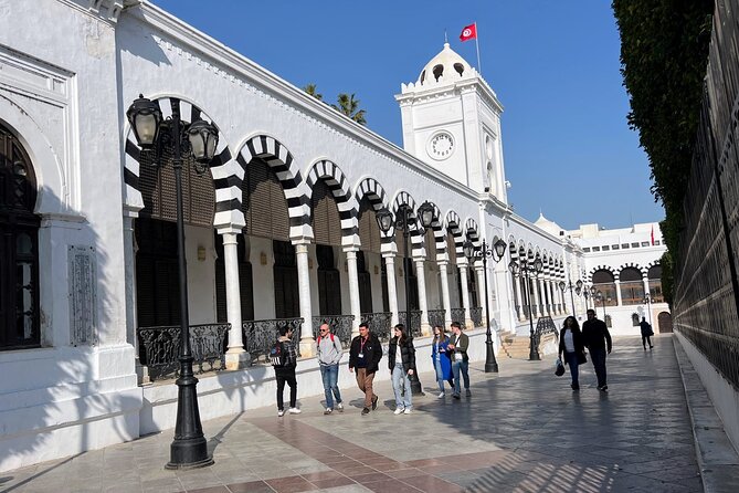 Private Day Tour Tunis Medina Carthage Sidi Bou Said Bardo Museum - Explore the Ancient Ruins