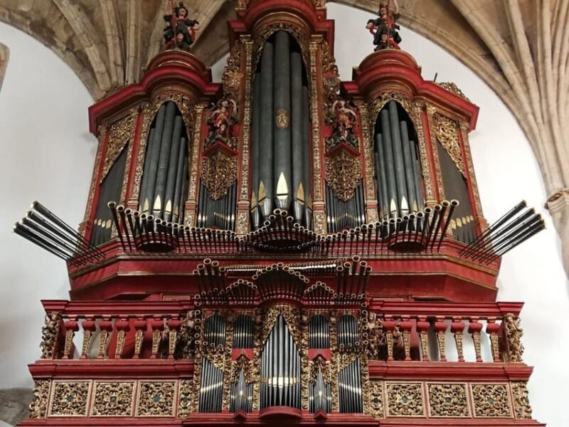 Private Day Tour University Coimbra & Convent Christ Tomar - Final Thoughts: Who Should Book This Experience?