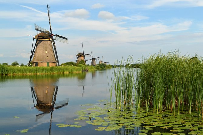 Private Day Trip From Amsterdam to Rotterdam and the Hague - Accessibility and Requirements