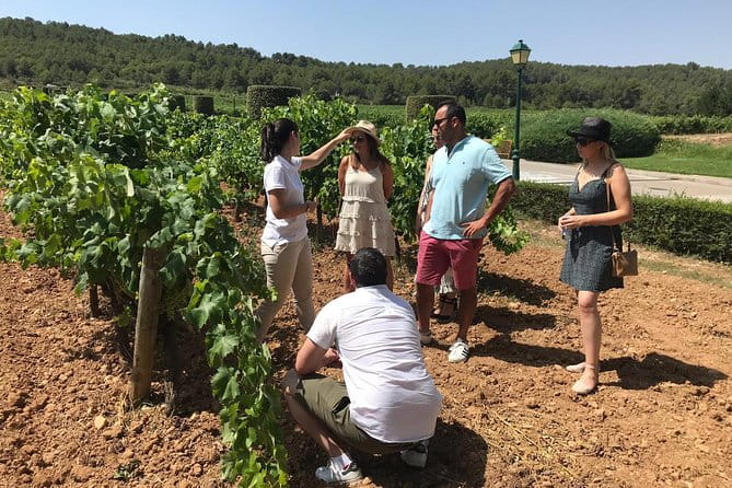 Private Day Trip from Barcelona to Montserrat - Who Will Love This Tour?